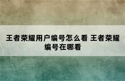 王者荣耀用户编号怎么看 王者荣耀编号在哪看